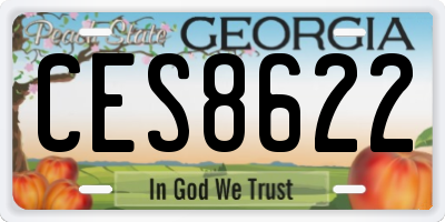 GA license plate CES8622