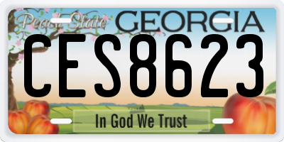 GA license plate CES8623