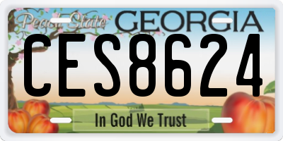 GA license plate CES8624