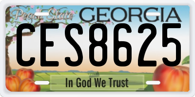GA license plate CES8625