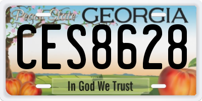 GA license plate CES8628