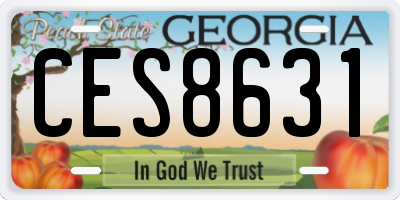 GA license plate CES8631