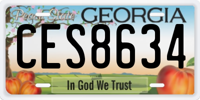 GA license plate CES8634