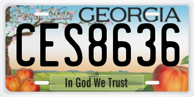 GA license plate CES8636
