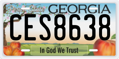 GA license plate CES8638