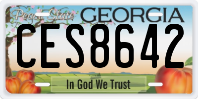 GA license plate CES8642