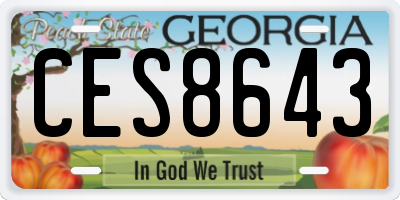 GA license plate CES8643