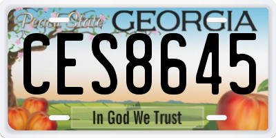 GA license plate CES8645