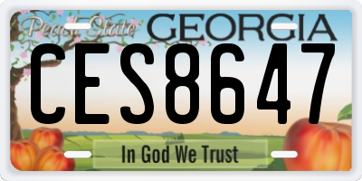 GA license plate CES8647