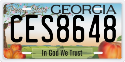 GA license plate CES8648