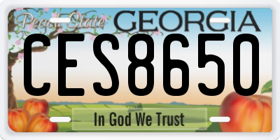 GA license plate CES8650