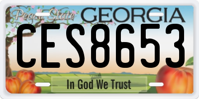 GA license plate CES8653