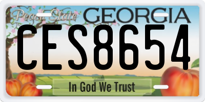 GA license plate CES8654