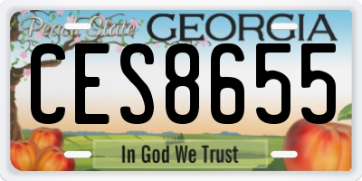 GA license plate CES8655