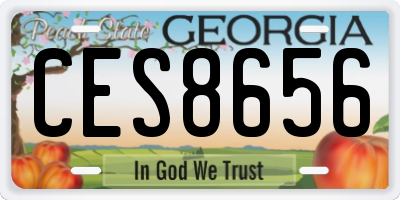 GA license plate CES8656