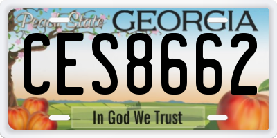 GA license plate CES8662