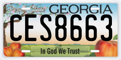 GA license plate CES8663