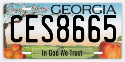 GA license plate CES8665