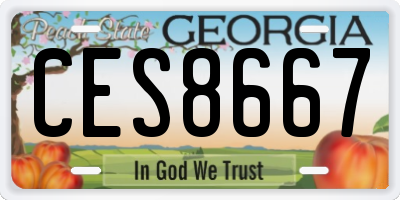 GA license plate CES8667