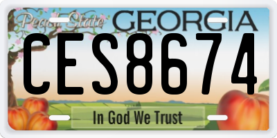 GA license plate CES8674