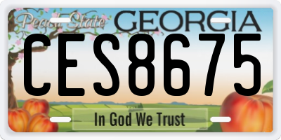 GA license plate CES8675
