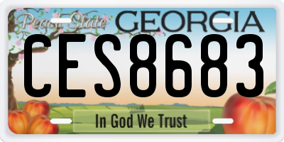 GA license plate CES8683