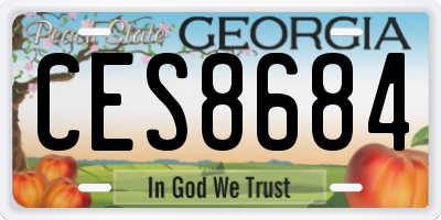 GA license plate CES8684