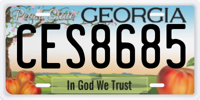GA license plate CES8685
