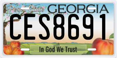 GA license plate CES8691