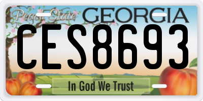 GA license plate CES8693