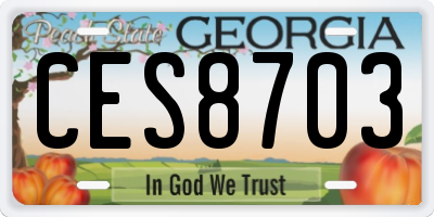 GA license plate CES8703