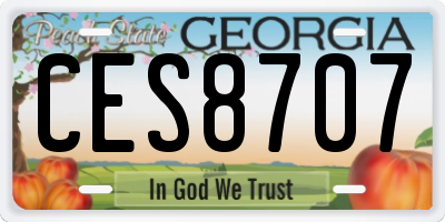 GA license plate CES8707