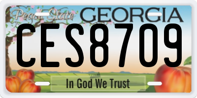 GA license plate CES8709