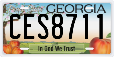 GA license plate CES8711