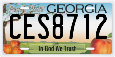 GA license plate CES8712