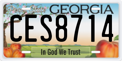 GA license plate CES8714