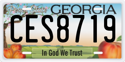 GA license plate CES8719