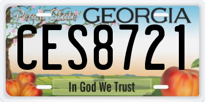 GA license plate CES8721