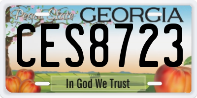 GA license plate CES8723