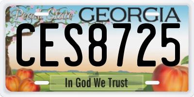 GA license plate CES8725