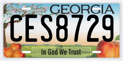 GA license plate CES8729