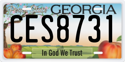 GA license plate CES8731