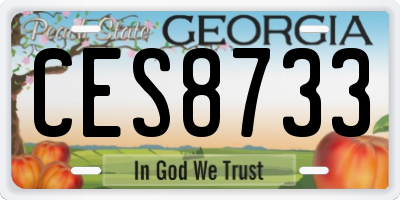 GA license plate CES8733