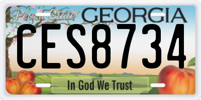GA license plate CES8734