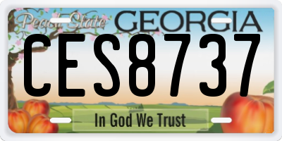 GA license plate CES8737