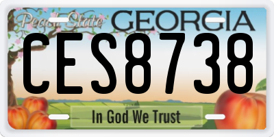 GA license plate CES8738