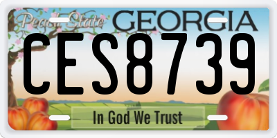 GA license plate CES8739