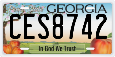 GA license plate CES8742