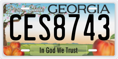 GA license plate CES8743