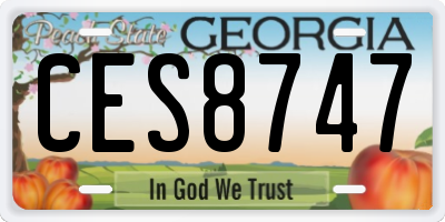 GA license plate CES8747